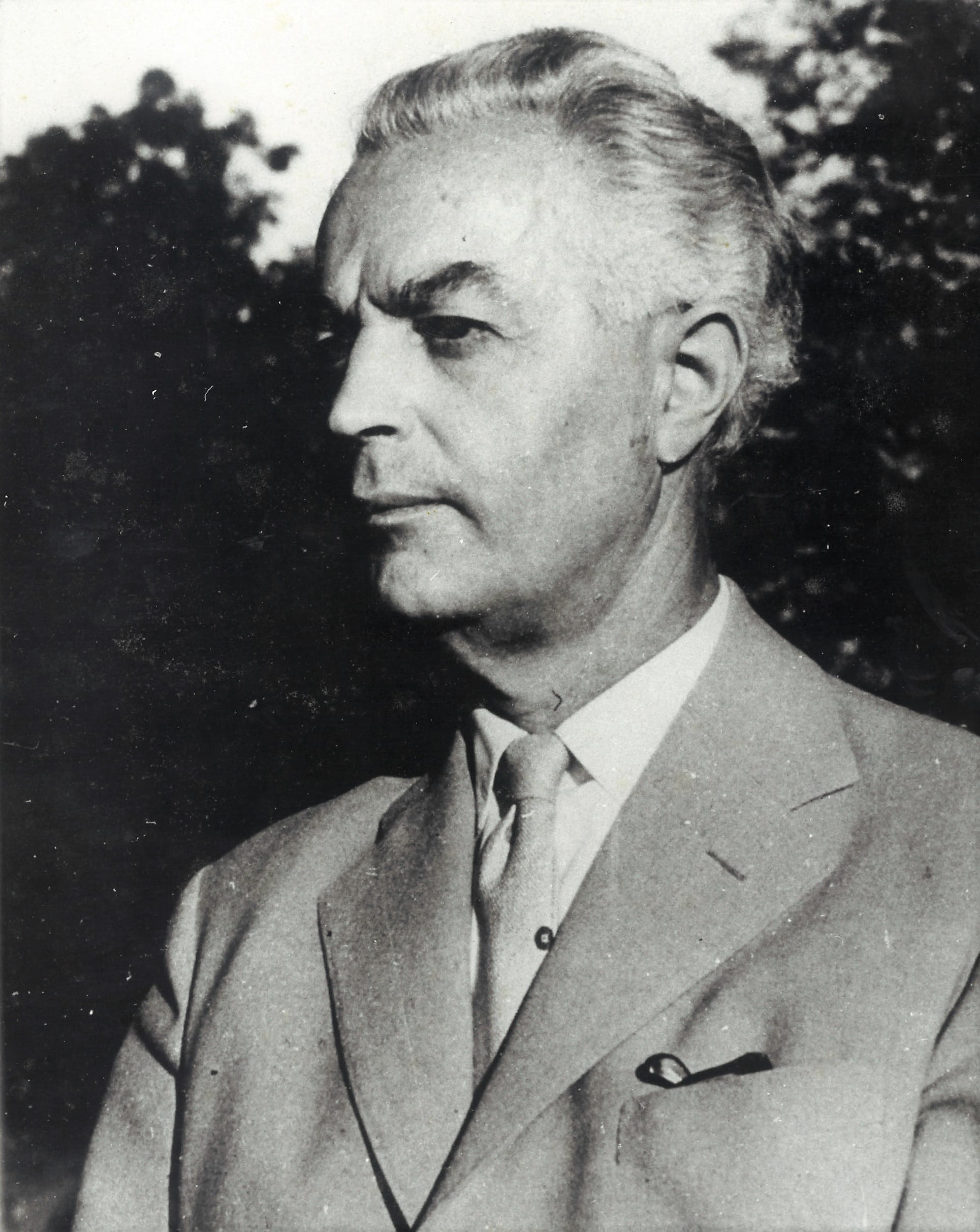 Драго Иблер 